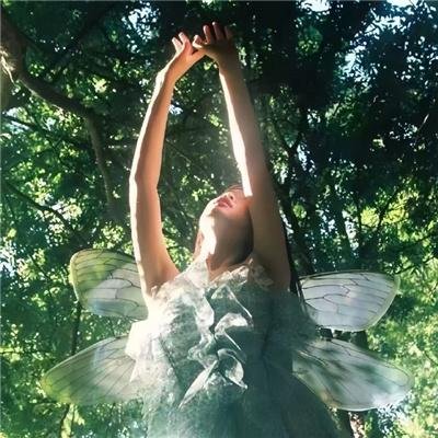 龙的新娘:龙之岛